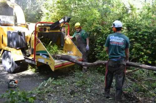 tree services Roseland